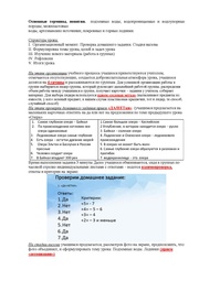 следующая страница →