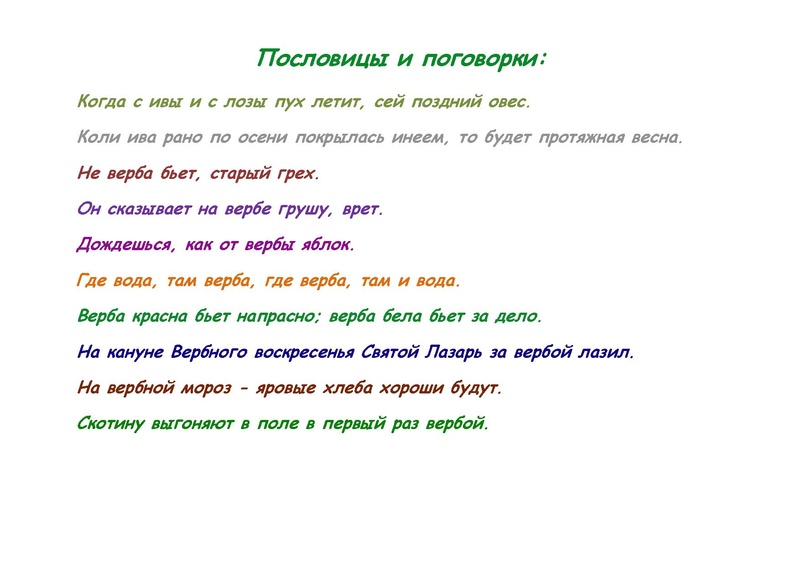 Файл:Пословицы и поговорки.pdf
