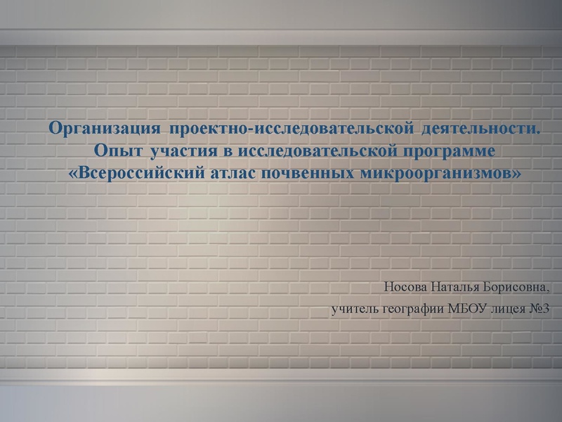 Файл:Носова НБ МБОУ лицей №3.pdf