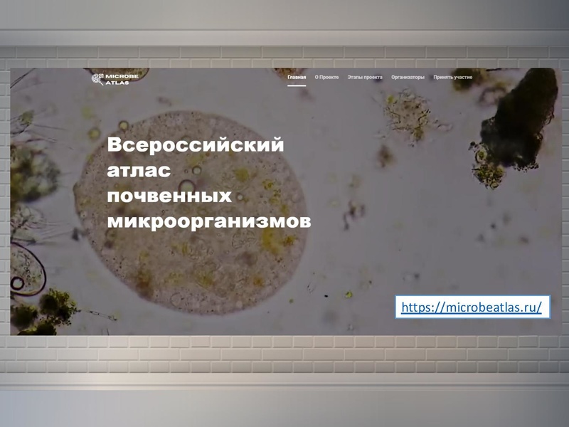 Файл:Носова НБ МБОУ лицей №3.pdf