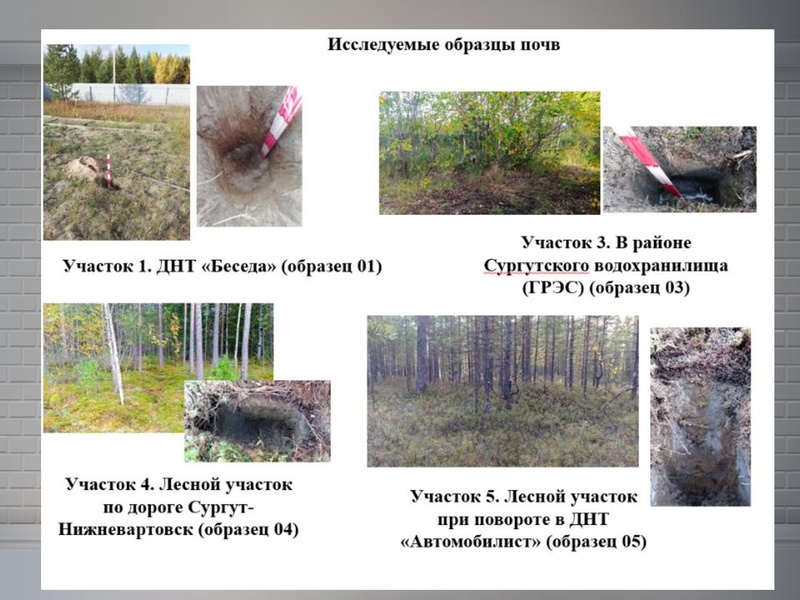 Файл:Носова НБ МБОУ лицей №3.pdf