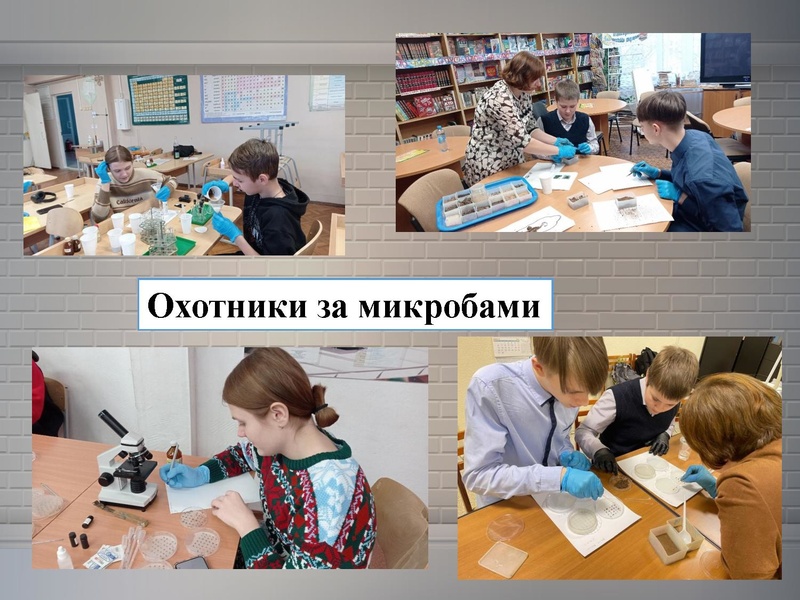 Файл:Носова НБ МБОУ лицей №3.pdf