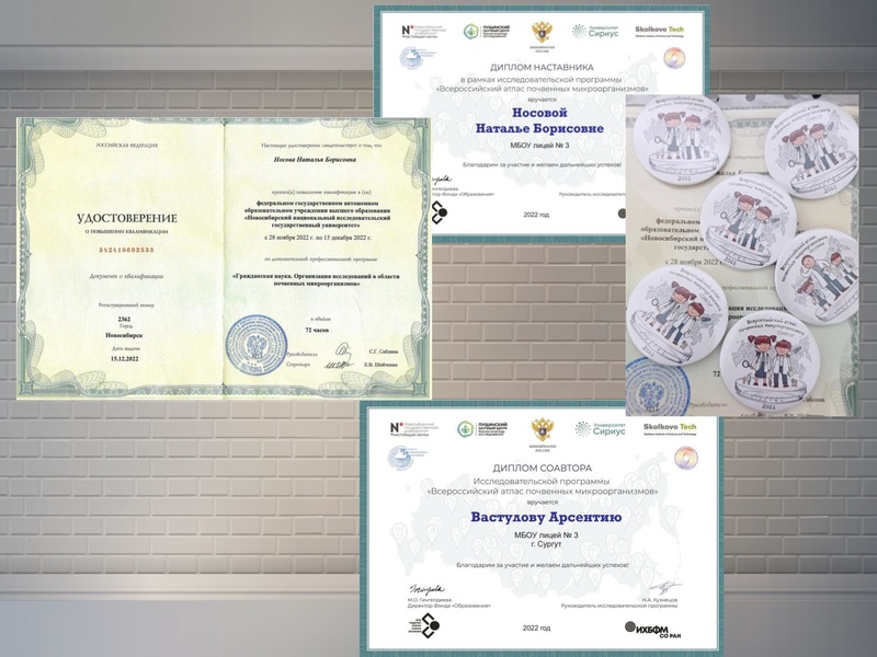 Файл:Носова НБ МБОУ лицей №3.pdf