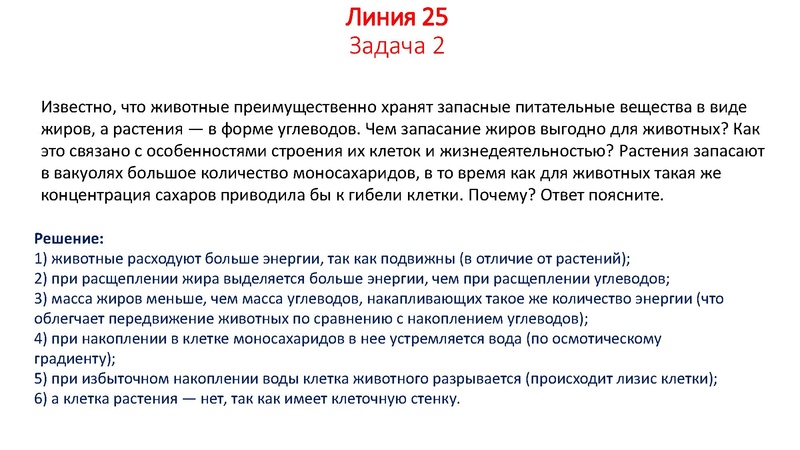 Файл:ГМО 24 02 Химикова О.И..pdf