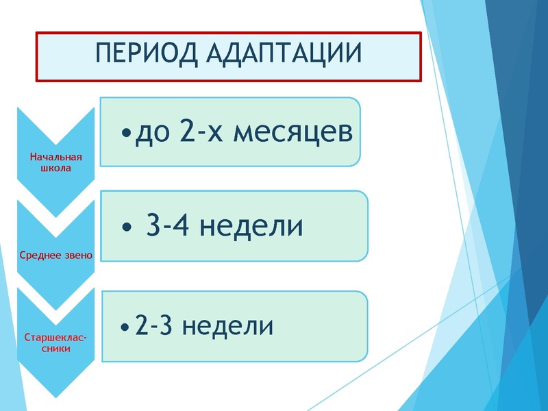 Файл:Зябко И.А. Адаптация к школе после летних каникул.pdf