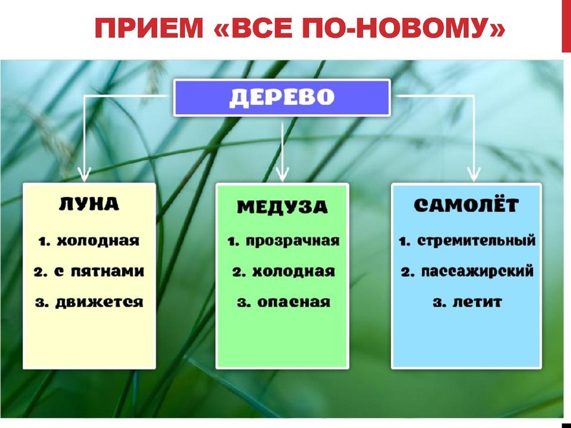 Файл:ЛавелинаНН функ грамотность 30.03.2023.pdf