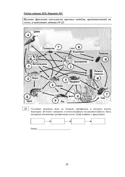 Файл:МР 9 Биология 2024.pdf