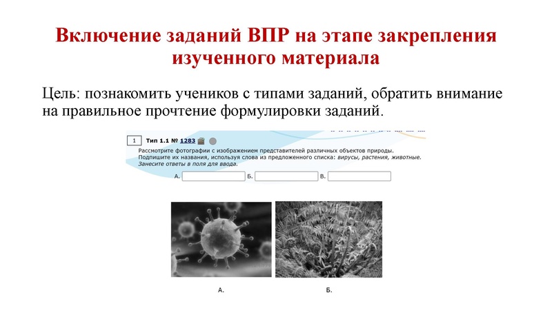 Файл:Подготовка к ВПР. биолоиия 19.12.22.pdf