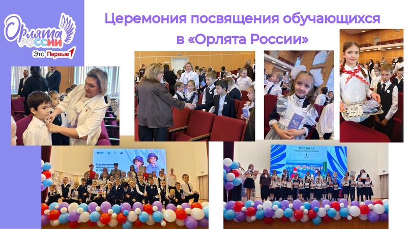 Файл:Попова Е.М. НПД.pdf