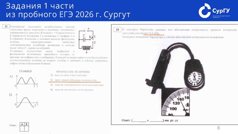 Файл:Джариев. ГМО физиков. 12.03.2026.pdf