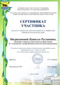 1.3. Мисриханова К.Р.pdf