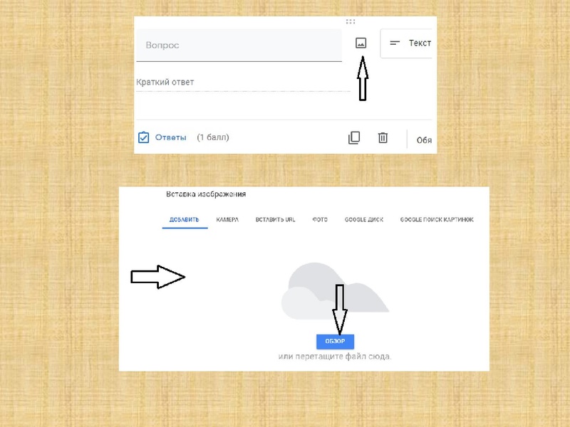Файл:Шелыгинская Л.А. ГМО 2.pdf