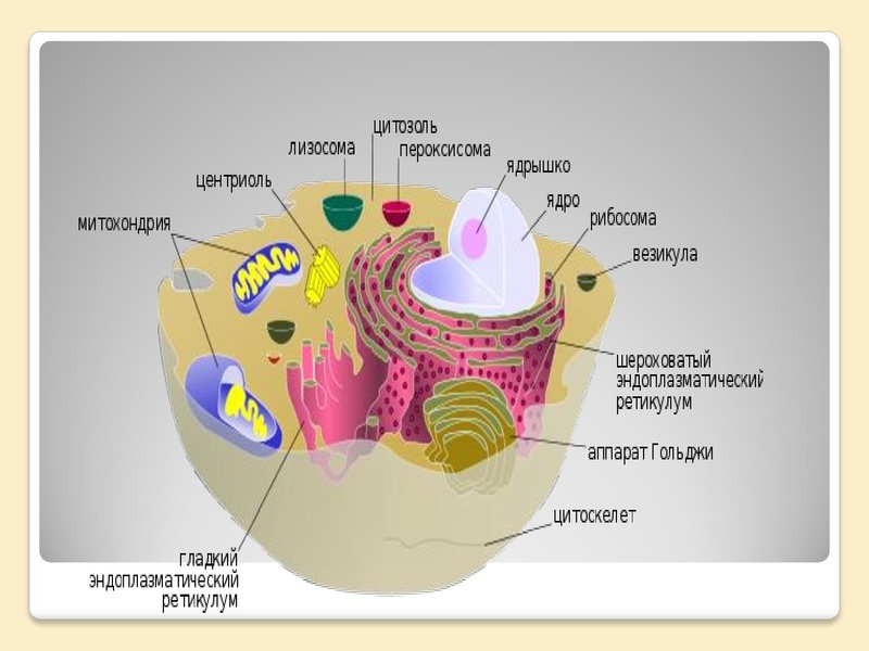 Файл:Фрактальная Вселенная.pdf