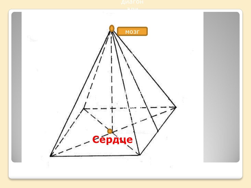 Файл:Фрактальная Вселенная.pdf