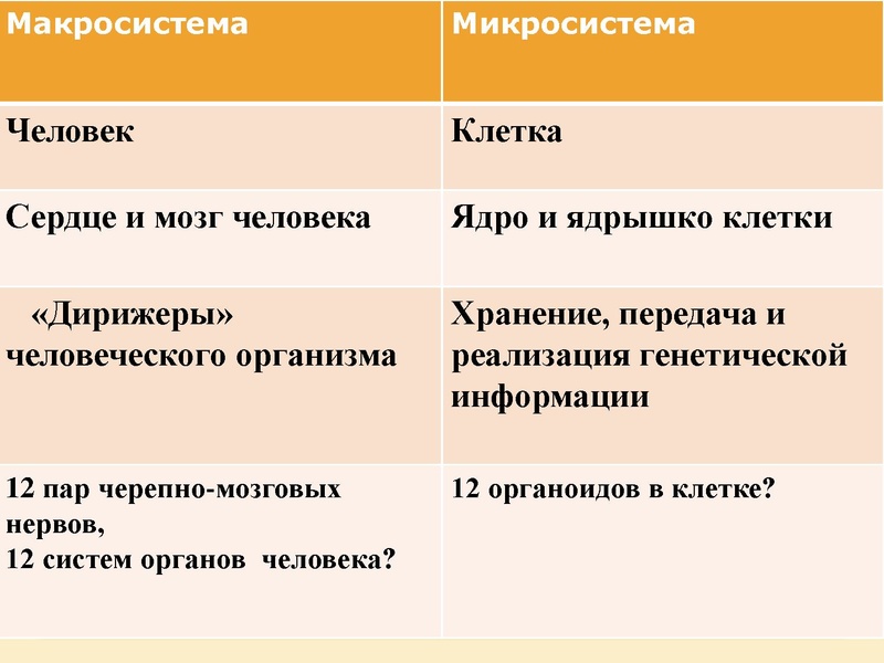 Файл:Фрактальная Вселенная.pdf