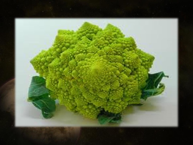 Файл:Фрактальная Вселенная.pdf