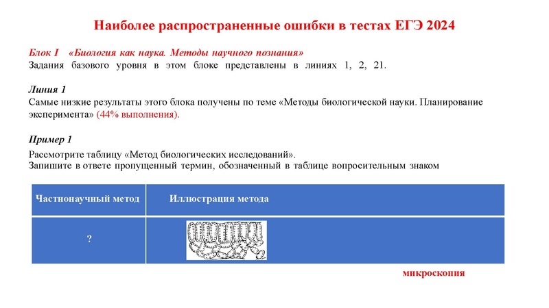 Файл:24 02 25 Химикова ОИ.pdf