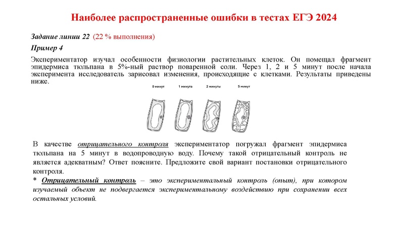 Файл:24 02 25 Химикова ОИ.pdf