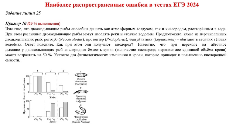 Файл:24 02 25 Химикова ОИ.pdf