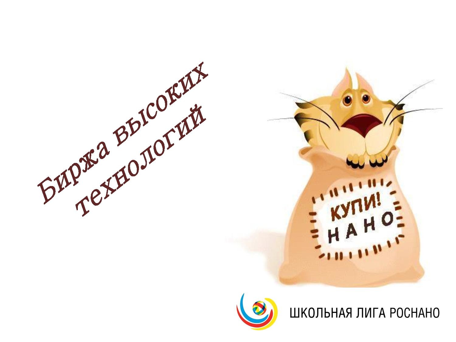 Prezentatsia NanoKot v meshke.pdf