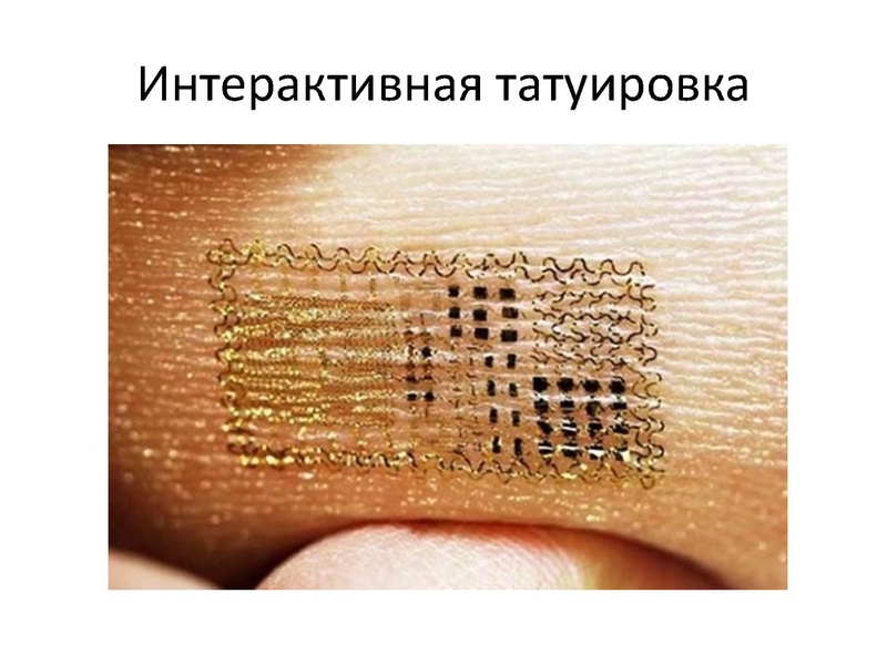 Файл:Prezentatsia NanoKot v meshke.pdf