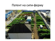 следующая страница →