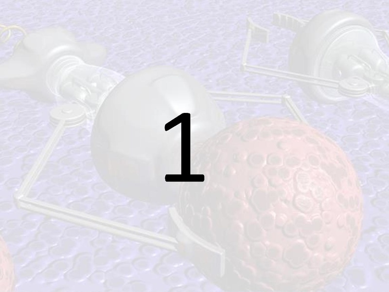 Файл:Prezentatsia NanoKot v meshke.pdf