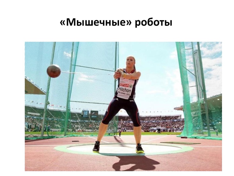 Файл:Prezentatsia NanoKot v meshke.pdf