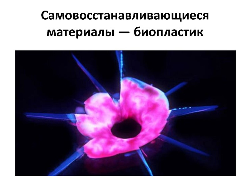 Файл:Prezentatsia NanoKot v meshke.pdf