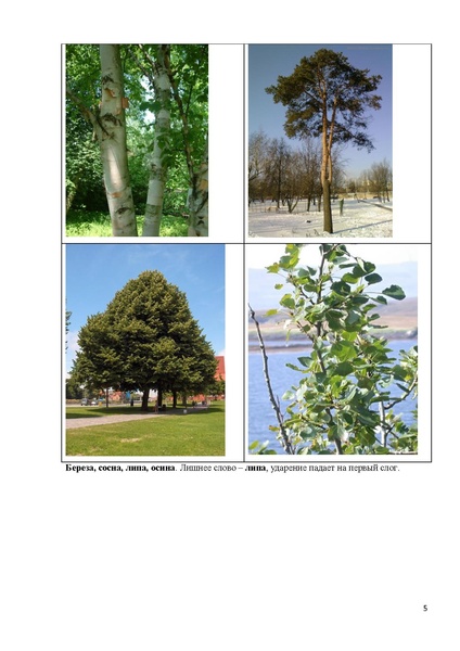 Файл:Занятия по русскому языку с детьми -инофонами.pdf