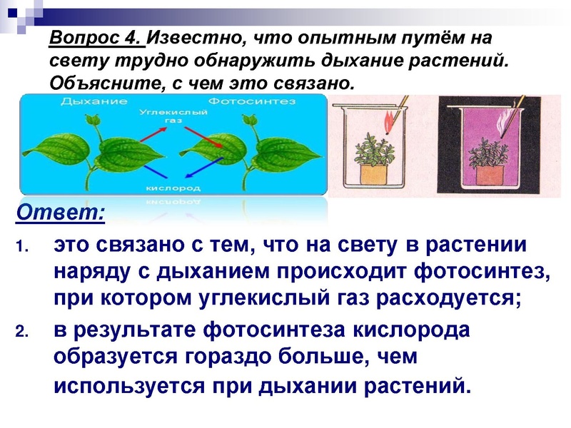 Файл:Подготовка к ЕГЭ . Задания С1 Глаголева ГП.pdf