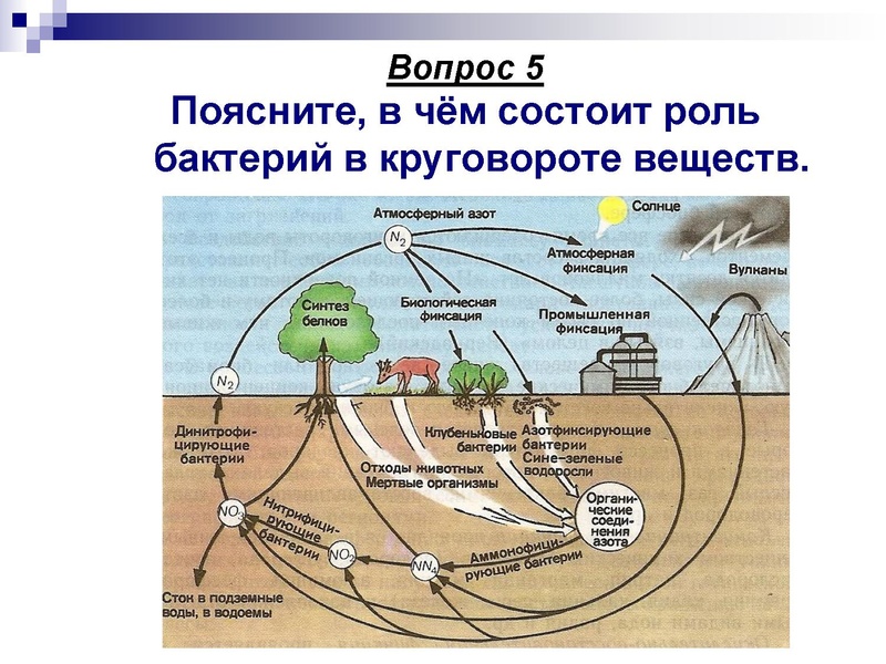 Файл:Подготовка к ЕГЭ . Задания С1 Глаголева ГП.pdf