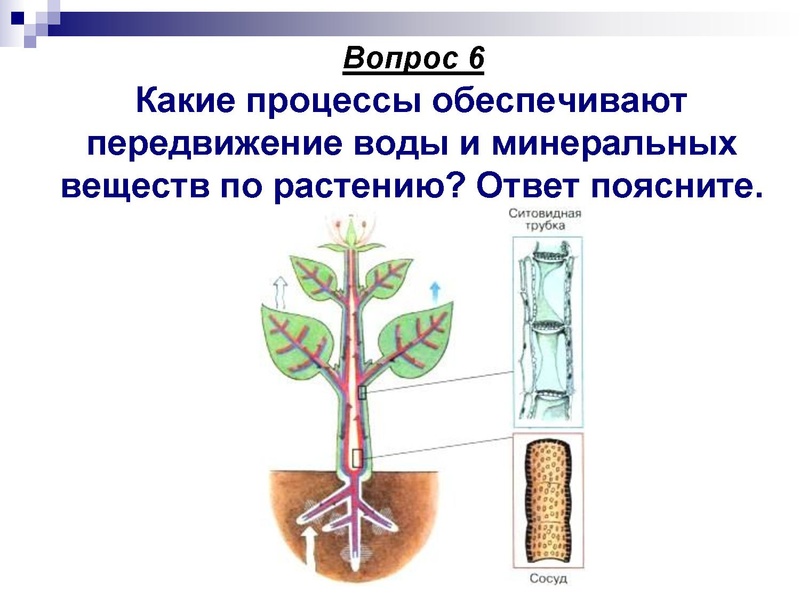 Файл:Подготовка к ЕГЭ . Задания С1 Глаголева ГП.pdf