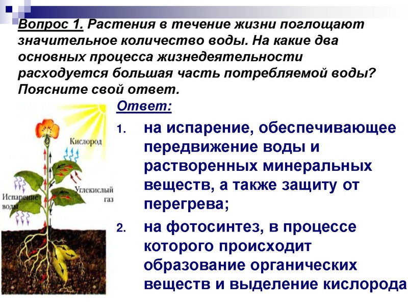 Файл:Подготовка к ЕГЭ . Задания С1 Глаголева ГП.pdf