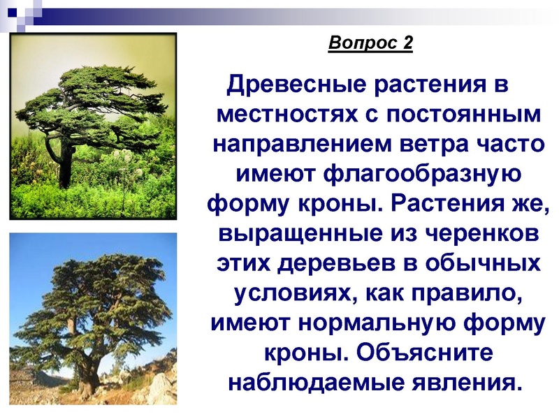 Файл:Подготовка к ЕГЭ . Задания С1 Глаголева ГП.pdf