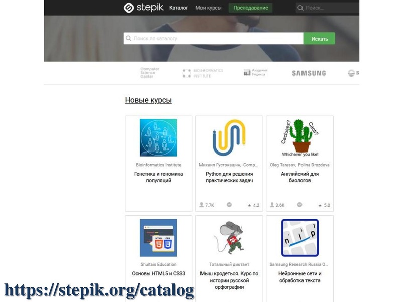 Файл:3. Халитова.pdf