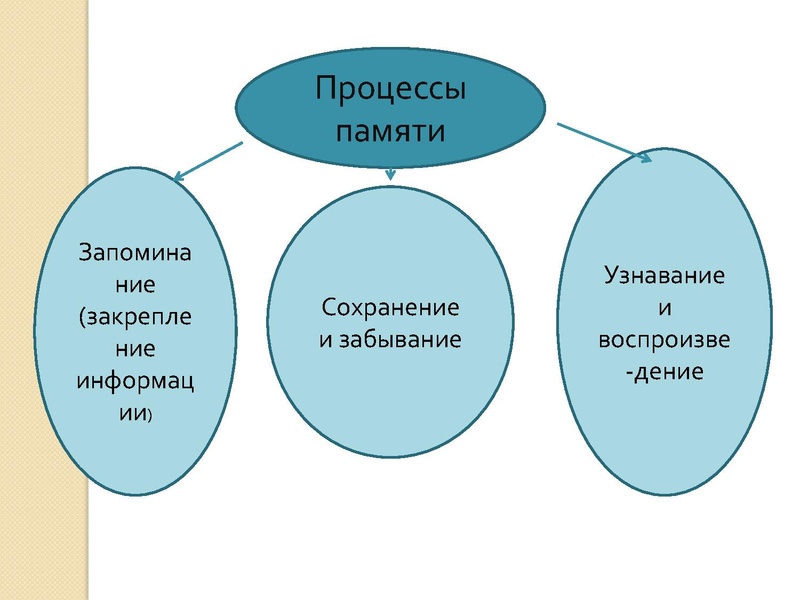 Файл:Повторение Петрова Н.А..pdf