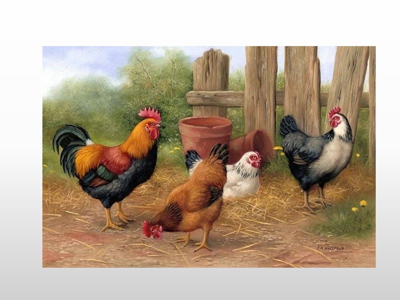 Файл:Методическая разработка Курочка ряба (презентация).pdf