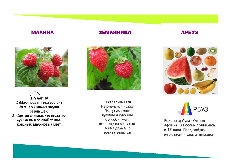 Файл:Ягоды.pdf