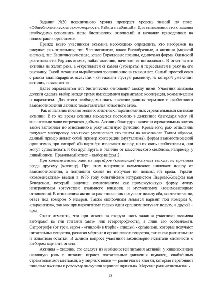Файл:ЕГЭ.pdf
