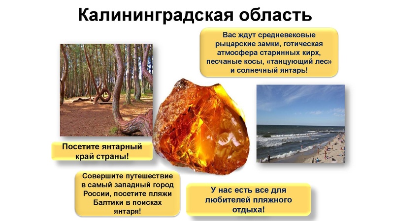 Файл:Денисова С.Г. Сложные вопросы ГИА.pdf