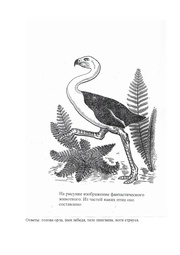 следующая страница →