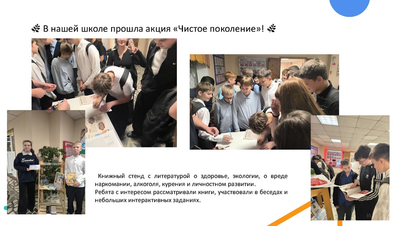 Файл:Презентация МК Сергеева А.А..pdf