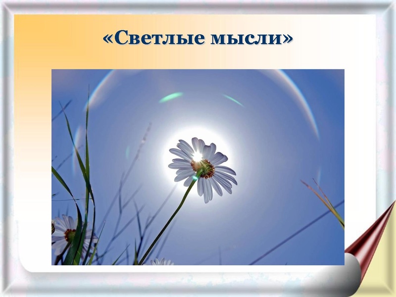 Файл:Презентация Добрягина Е.Д..pdf