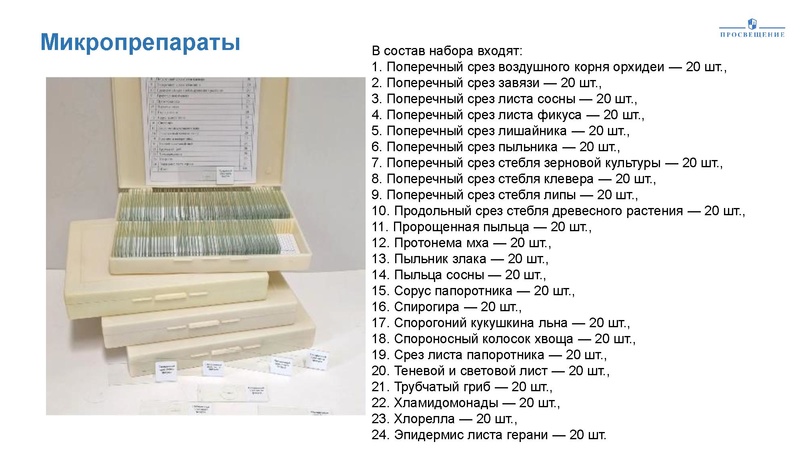Файл:Kak-uchitelyu-truda-tehnologii-rabotat-v-agrotehnologicheskom-klasse.pdf