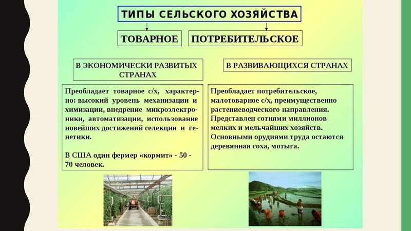 Файл:Мировое хозяйство.pdf