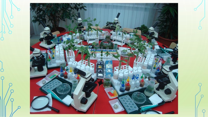 Файл:Мастер класс МБДОУ Колокольчик.pdf