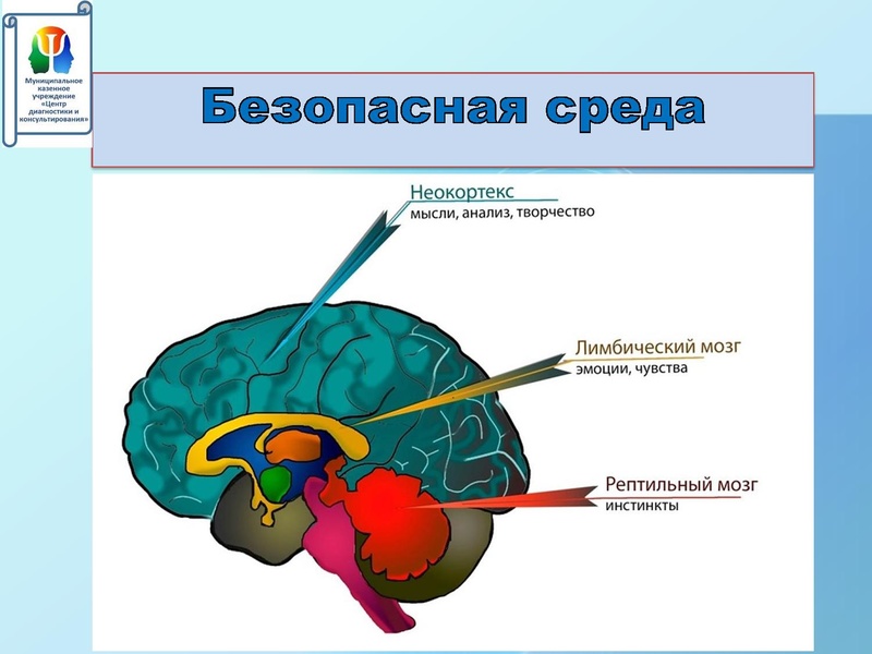 Файл:Нериз Е.В. Психолого-педагогическая.pdf