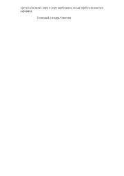 следующая страница →