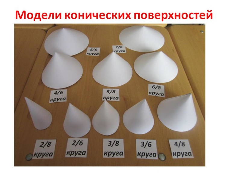 Файл:ГМО 17.05.19 Гнусина М.Н..pdf